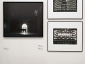 29 ARTS IN PROGRESS: Lelli e Masotti
