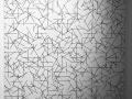 Lines, 1980
