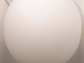 metamorfosi2