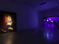 Francesca Minini, Milano: Giulio Frigo - Inpenetrable