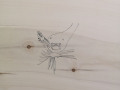 AF arte contemporanea: Amedeo Martegani - a wormhole