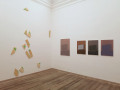 Otto Gallery: Lucio Pozzi  & Luca Pancrazzi 