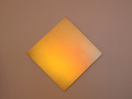 Ann Veronica Janssens