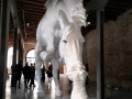 Argentinian Pavilion 2017 Claudia Fontes: The Horse Problem