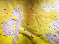 Ghanaian Pavilion: El Anatsui