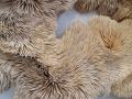 Piero Atchugarry Gallery: Chris Soal (detail) "An inquiry in presence" (bamboo and birch wood toothpicks held in polyurethane)