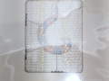 Richard Saltoun Gallery: Greta Schödl - Fantastic Animals, 1970/2024, limited edition