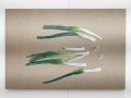 P420: Helene Appel - Leek, 2023