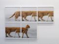 Apalazzo Gallery: Eva & Franco Mattes, Section Multiple
