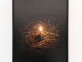 Podbielsky Contemporary: Nicola Lo Calzo, Section Photography and moving Images
