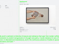 Present Future: Tiziana Di Caro, Napels
