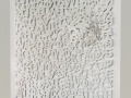 Rudy Pulcinelli Anomalia, Bonioni Arte