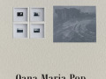 Oana Maria Pop: Dismayland & Precast Landscape III, IAGA Contemporary Art