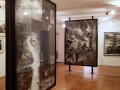 Radenko Milak: University of Disaster