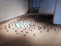 Casa Gallery Itinerante: Displacements/Spostamenti (Damiano Paroni)