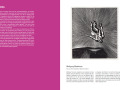 Catalogue: Ursache & Wirkung, page 51, Leipzig, photo © VG Bild-Kunst, Bonn 2021
