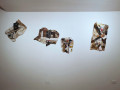 Galleria Studio Cenacchi: Paolo Racagni