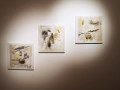 Galleria Studio Cenacchi: Paolo Racagni
