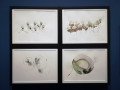 Hala Schoukair: Mindless Thinking, 2020-2024, Central Pavilion