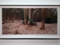 Rosemary Laing