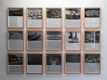 Cuban Pavilion: Natural State