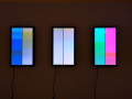Davide Maria Coltro - Dalla Materia la Luce 