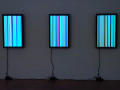 Davide Maria Coltro - Dalla Materia la Luce 