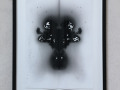 Elia Cantori: Shadow in process