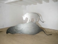 Katja Novitskova: If only you could see what I’ve seen with your eyes