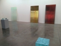 Ann Veronica Janssens