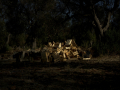 Untitled (Series Fata Morgana) © Alessia Rollo