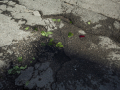 Untitled (Series Fata Morgana) © Alessia Rollo
