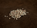 Untitled (Series Fata Morgana) © Alessia Rollo