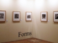 Vivian Maier/Maloof Collection: Forms