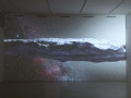 Franco Vaccari: Oumuamua