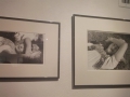 Frida2