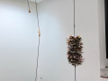 Studio G7: Golzar Sanganian: Take Off