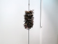 Studio G7: Golzar Sanganian: Take Off