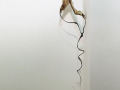 Studio G7: Golzar Sanganian: Take Off