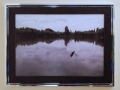 Maria Rebecca Ballestra: Morphosis