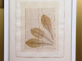 Greta Schödl: untitled, 1980-1990