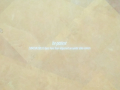 Guido Segni A quiet desert failure