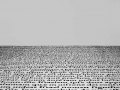 Lido © Hannes Norberg, courtesy of the artist