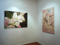 Galleria B4: Marjan Babaie Nasr - Sballo floriale