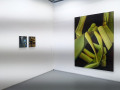Galleria Doris Ghetta: Johannes Bosisio
