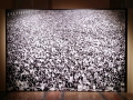 M. Jodice: Festival dell'Unità, Naples, 1976