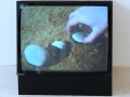 From One to Four Pebbles, 1972, digital video from a 16 mm colour film, 4’30’’