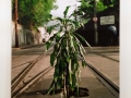Marcos Chaves: Untitled (Buracos), 1996/2008