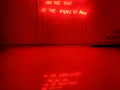 Margherita Moscardini: In the light of