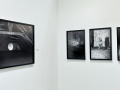 Luisa Catucci Gallery: Elena Helfrecht